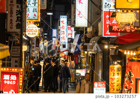 《東京都》賑わう路地裏飲み屋街・慶応仲通り商店街 103273257
