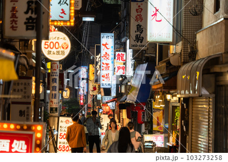《東京都》賑わう路地裏飲み屋街・慶応仲通り商店街 《東京都》賑わう路地裏飲み屋街・慶応仲通り商店街 103273258