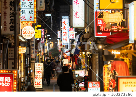 《東京都》賑わう路地裏飲み屋街・慶応仲通り商店街 103273260
