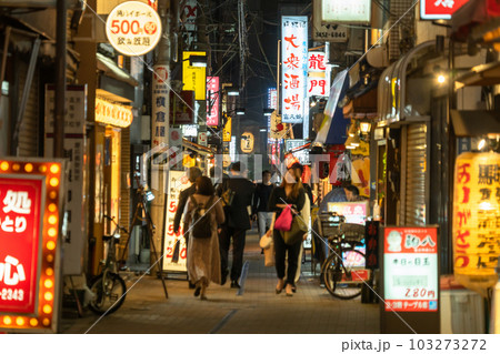 《東京都》賑わう路地裏飲み屋街・慶応仲通り商店街 103273272