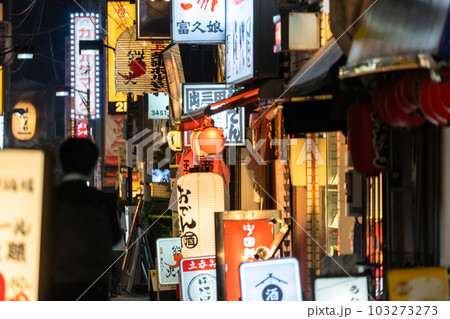 《東京都》賑わう路地裏飲み屋街・慶応仲通り商店街 103273273