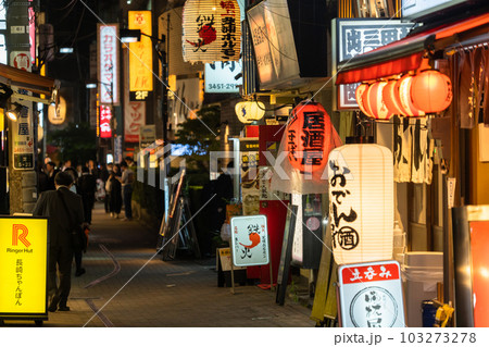 《東京都》賑わう路地裏飲み屋街・慶応仲通り商店街 103273278