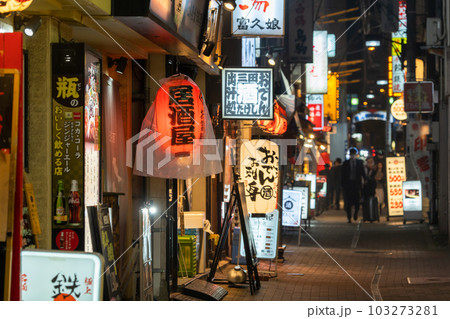 《東京都》賑わう路地裏飲み屋街・慶応仲通り商店街 103273281