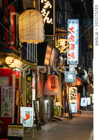 《東京都》賑わう路地裏飲み屋街・慶応仲通り商店街 《東京都》賑わう路地裏飲み屋街・慶応仲通り商店街 103273285