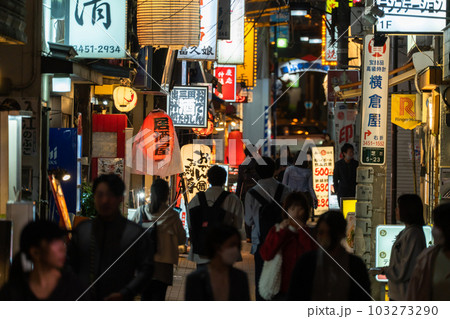 《東京都》賑わう路地裏飲み屋街・慶応仲通り商店街 《東京都》賑わう路地裏飲み屋街・慶応仲通り商店街 103273290