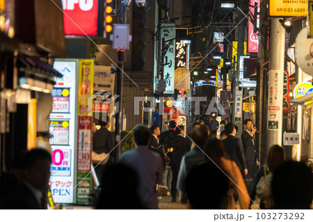 《東京都》賑わう路地裏飲み屋街・慶応仲通り商店街 103273292