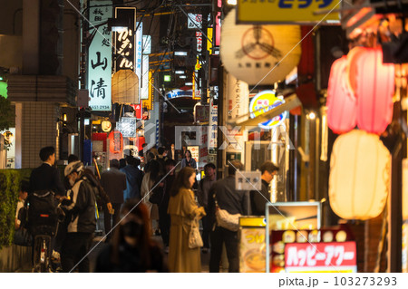 《東京都》賑わう路地裏飲み屋街・慶応仲通り商店街 《東京都》賑わう路地裏飲み屋街・慶応仲通り商店街 103273293