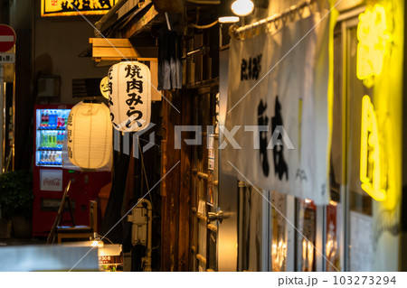 《東京都》賑わう路地裏飲み屋街・慶応仲通り商店街 103273294