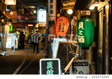 《東京都》賑わう路地裏飲み屋街・慶応仲通り商店街 《東京都》賑わう路地裏飲み屋街・慶応仲通り商店街 103273295