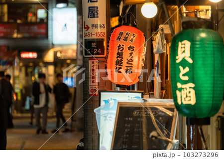《東京都》賑わう路地裏飲み屋街・慶応仲通り商店街 103273296