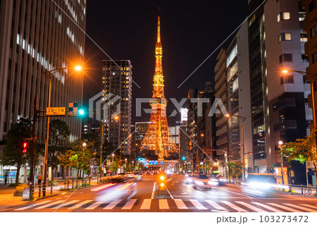 《東京都》東京タワーのある街並み・夜の東京都市風景 103273472