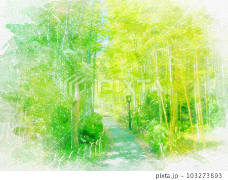 静岡県]伊豆市修善寺の竹林の小径の水彩画のイラスト素材 [103273893