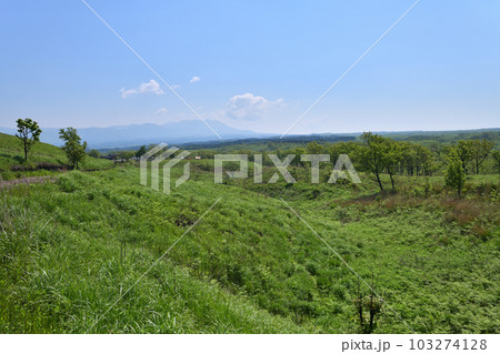 押戸石の丘 熊本県南小国町 初夏のパワースポット 押戸石の丘 熊本県南小国町 初夏のパワースポット 103274128