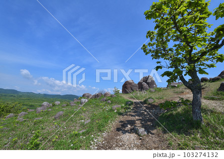 押戸石の丘 熊本県南小国町 初夏のパワースポット 押戸石の丘 熊本県南小国町 初夏のパワースポット 103274132