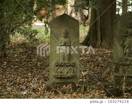 九品仏浄真寺 石仏像 九品仏浄真寺 石仏像 103274219