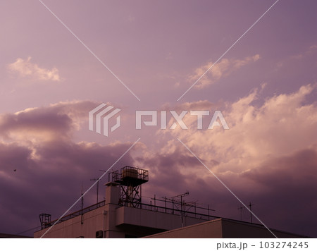 マジックアワーとトライライトレッド マジックアワーとトライライトレッド 103274245