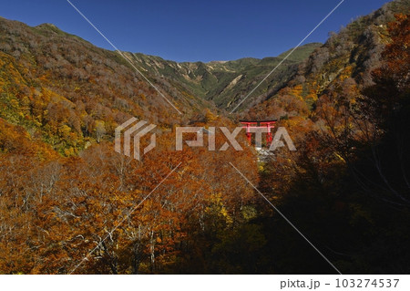 秋の湯殿山大鳥居 秋の湯殿山大鳥居 103274537