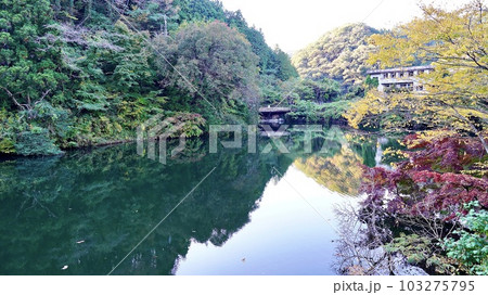 埼玉県　秋の紅葉シーズンの鎌北湖 103275795