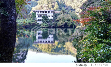 埼玉県 秋の紅葉シーズンの鎌北湖 埼玉県 秋の紅葉シーズンの鎌北湖 103275796