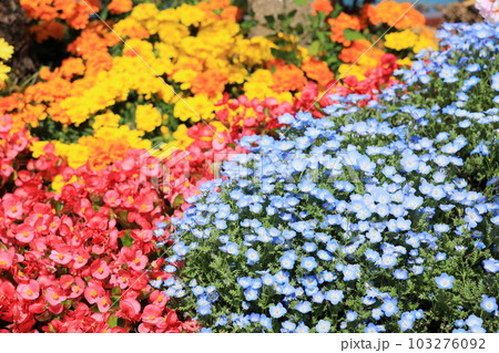 花畑 花畑 103276092