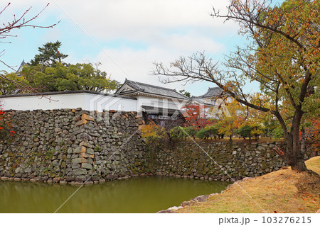 秋の岸和田城 秋の岸和田城 103276215