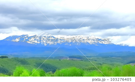 春の北海道美瑛町の四季彩の丘 103276405