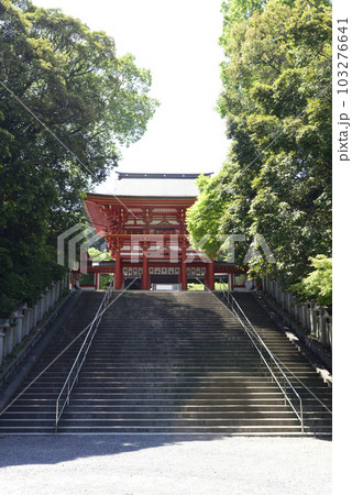 近江神宮 楼門 近江神宮 楼門 103276641