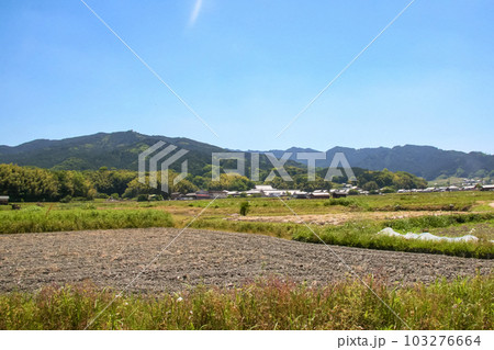 田舎ののどかな風景 田舎ののどかな風景 103276664