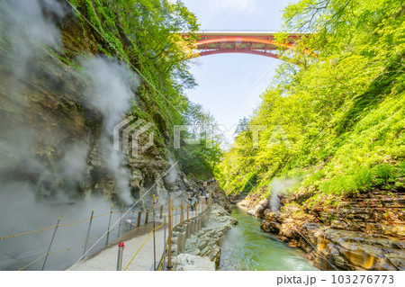 小安峡大噴湯　春　新緑 103276773