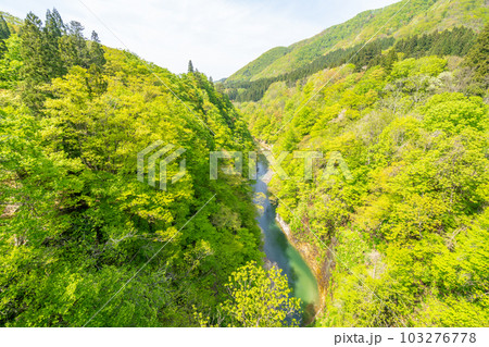 小安峡大噴湯 春 新緑 小安峡大噴湯 春 新緑 103276778