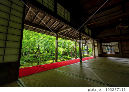新緑の圓光寺　書院から見た庭園の風景　京都府京都市 103277111