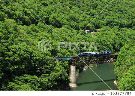 会津鉄道・お座トロ展望列車 新緑の季節 会津鉄道・お座トロ展望列車 新緑の季節 103277794