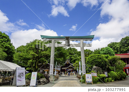 青空と緑の中の出雲大社相模原分祠 青空と緑の中の出雲大社相模原分祠 103277991