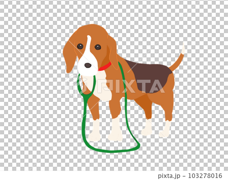 Beagle dog you want me to take for a walk Beagle dog you want me to take for a walk 103278016