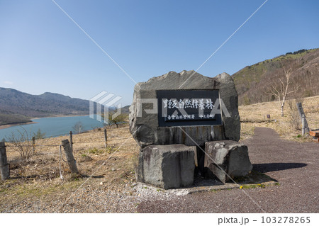 野反峠より眺める芽吹き前の野反湖 103278265