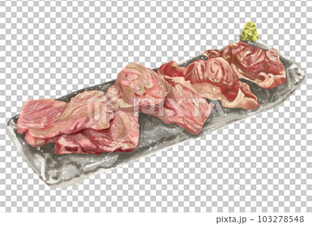 微烤肉壽司手繪風格插畫 微烤肉壽司手繪風格插畫 103278548
