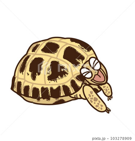 ロシアリクガメ　額付きミニ絵画　油彩 ロシアリクガメ 額付きミニ絵画 油彩 ロシアリクガメ 額付きミニ