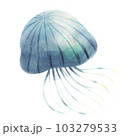 【水彩絵本】幻想的な青い水彩クラゲ 103279533