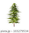 【挿絵素材】水彩の杉の木（針葉樹） 103279534