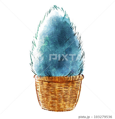 【水彩絵本】水彩のゴールドクレスト 103279536