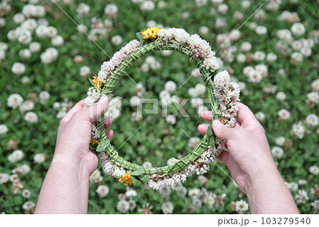 初夏の身近な花シロツメクサの花冠の写真素材 [103279540] - PIXTA