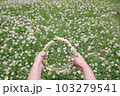 初夏の身近な花シロツメクサの花冠 103279541