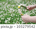 初夏の身近な花シロツメクサの花冠 103279542