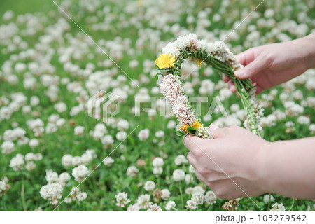 初夏の身近な花シロツメクサの花冠 103279542