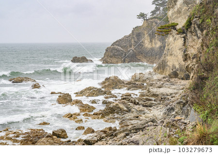 新潟　荒れ模様の笹川流れ 103279673