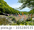 材木岩公園のこいのぼり(宮城県白石市) 103280535