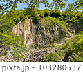 材木岩(宮城県白石市) 103280537