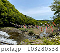 材木岩公園のこいのぼり(宮城県白石市) 103280538