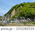 こいのぼりと材木岩(宮城県白石市) 103280539