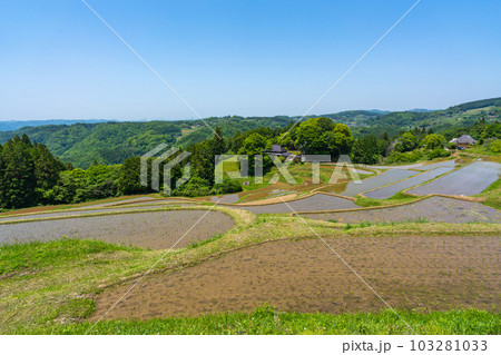 田植え後の棚田の風景イメージ【岡山県美咲町】 田植え後の棚田の風景イメージ【岡山県美咲町】 103281033